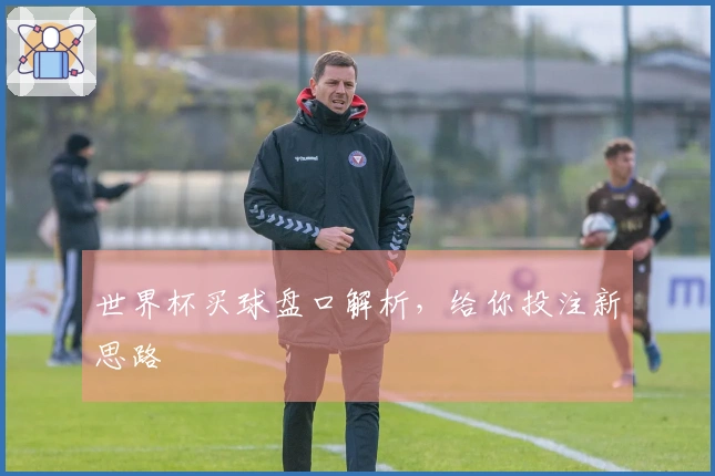 世界杯买球盘口解析，给你投注新思路