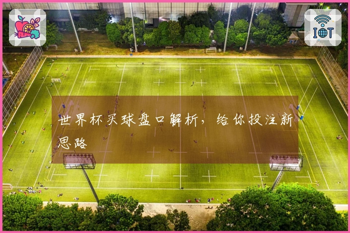 世界杯买球盘口解析，给你投注新思路