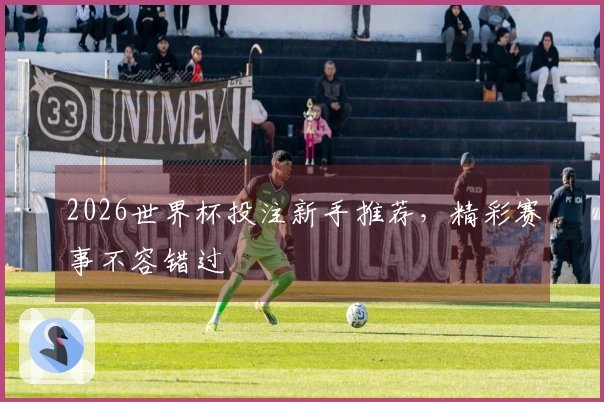 2026世界杯投注新手推荐，精彩赛事不容错过