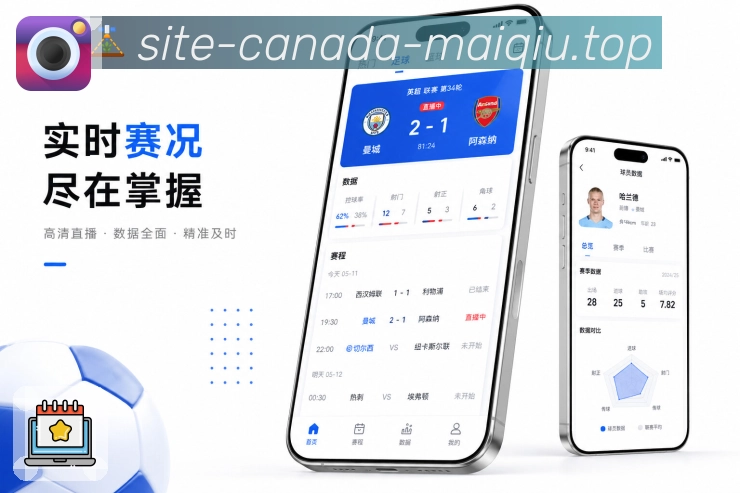 买球站 APP 安装界面